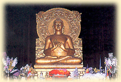 Buddha Temple, Buddhist Temple in Sarnath